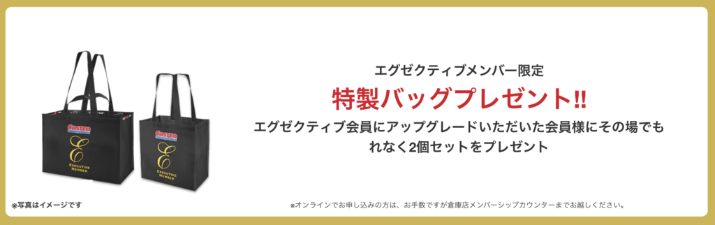 コストコバッグ エグゼクティブ会員